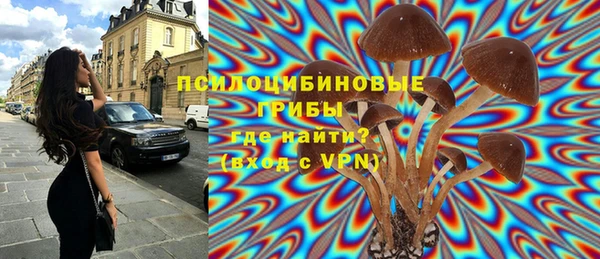 ECSTASY Алексин