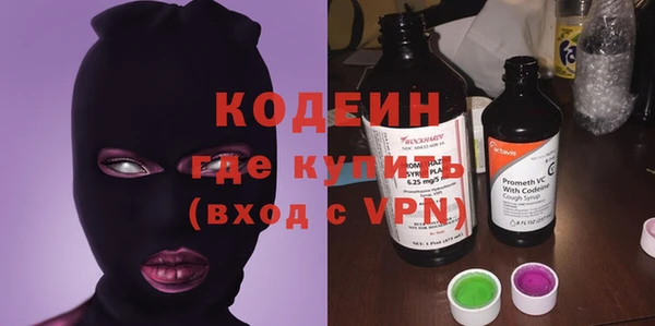 гашик Семилуки